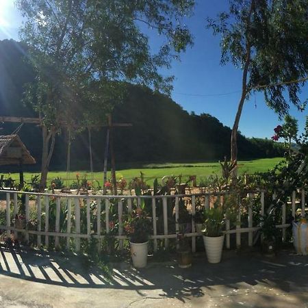 Phong Nha Rice Field Homestay Dış mekan fotoğraf