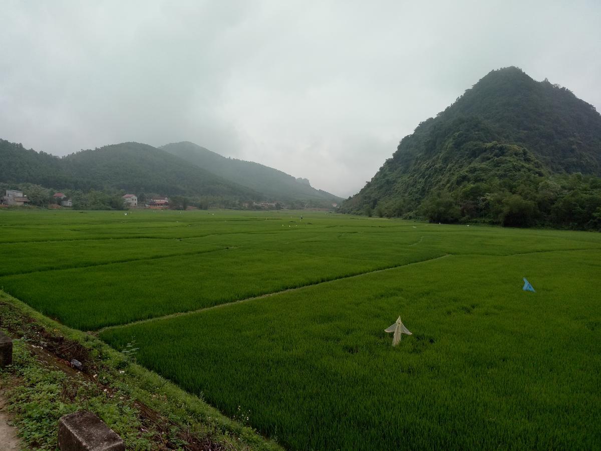 Phong Nha Rice Field Homestay Dış mekan fotoğraf