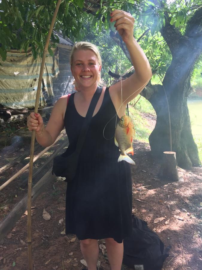 Phong Nha Rice Field Homestay Dış mekan fotoğraf