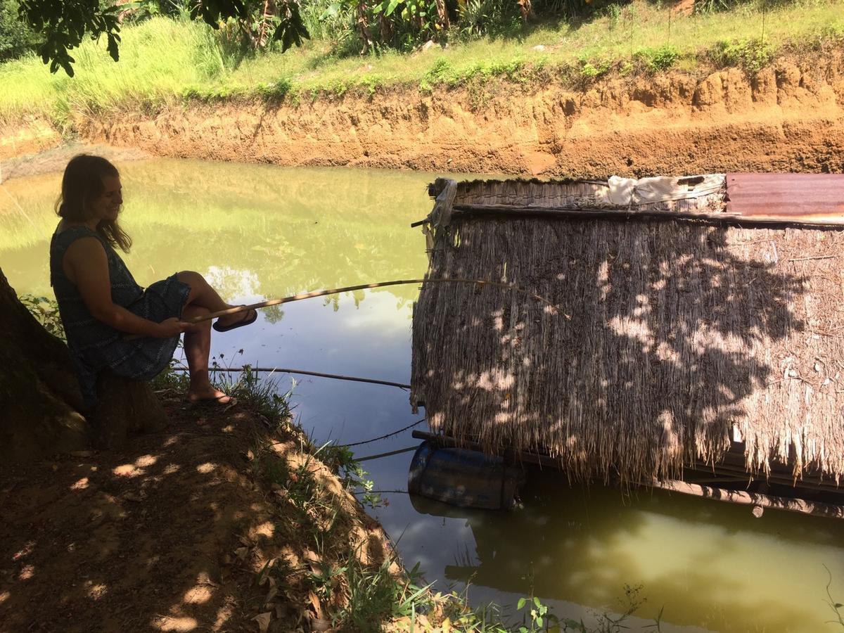 Phong Nha Rice Field Homestay Dış mekan fotoğraf